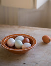 Breakfast Table Bowl in Terracotta