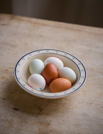 Breakfast Table Bowl in Blue