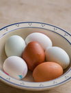 Breakfast Table Bowl in Blue