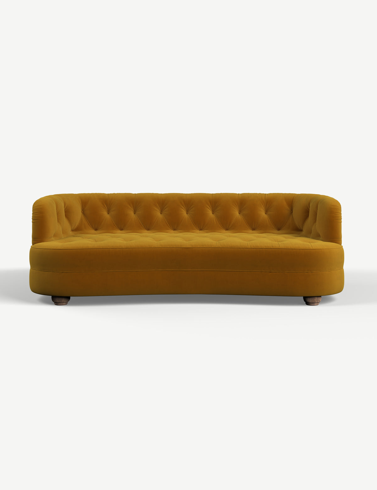 Velvet Mustard